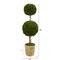 4ft. Boxwood Double Ball Topiary Tree in Planter